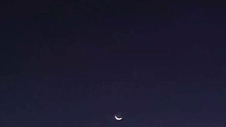 penghuni terakhir surga🥺