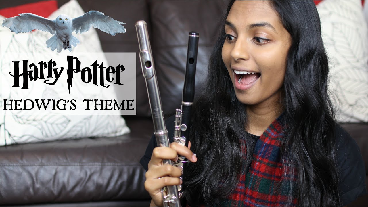 Harry Potter (Hedwig's Theme) - musical glasses - verres musicaux