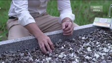 Jodoh Jodoh Annisa Episod 20