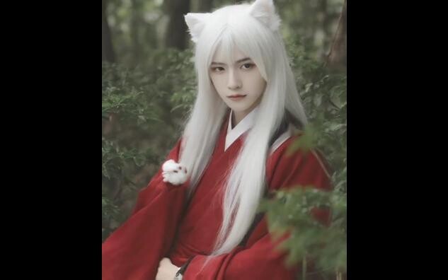 "InuYasha" real-life style similarity 63%