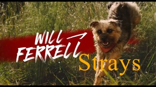 Strays _ Official Trailer 2(1)