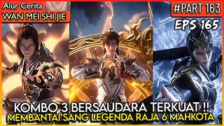 KOMBO 3 BERSAUDARA INI TERLALU OVERPOWER !! - Donghua PERFECT WORLD WANMEI SHIJIE #WMSJ PART 163