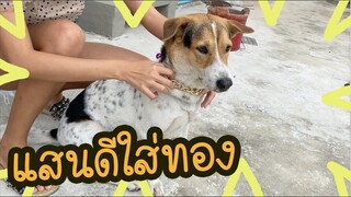 โลกของแสนดี ตอน ซื้อทองให้แสนดี