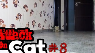 รวมพลแก๊งค์แมวฮ่า Attack on Cat ! 9 / ตอน ซิ่งหนีผี พากย์นรก