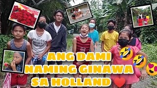 GUMALA KAMI SA HOLLAND (HULO)