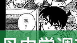 Teitan Junior High School Investigation Report - Shinran's amazing classmates
