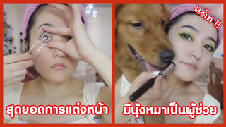 รวมคลิปตลกๆ : หมาก็อยากเเต่งหน้าเหมือนกันนะ!!