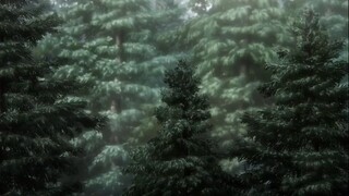 Kuroshitsuji: Midori no Majo-hen EP 01