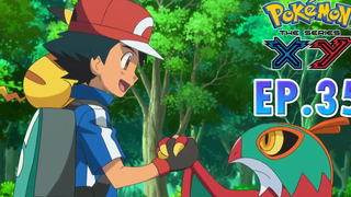 Pokémon the Series XY EP35 แชมเปี้ยนแห่งพงไพร! Pokémon Thailand Official