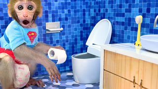 ลิงน้อย บอนบอน เข้าห้องน้ำแต่เช้ากินแตงโมกับลูกเป็ด น่ารักมาก