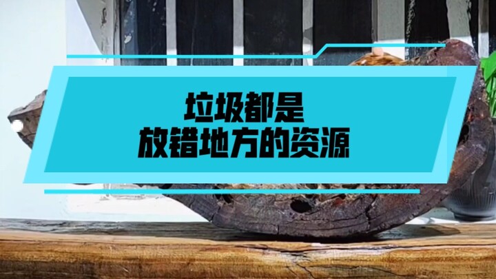捡了块烂木头