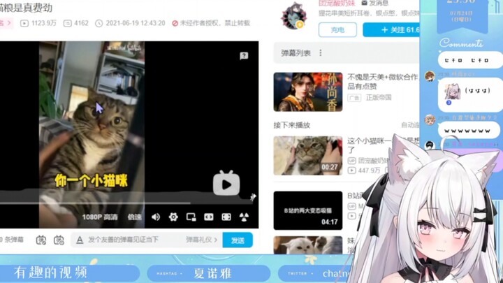 绝壁猫猫头看「石矶娘娘与猫」我也想被夏厨这样吸啊…