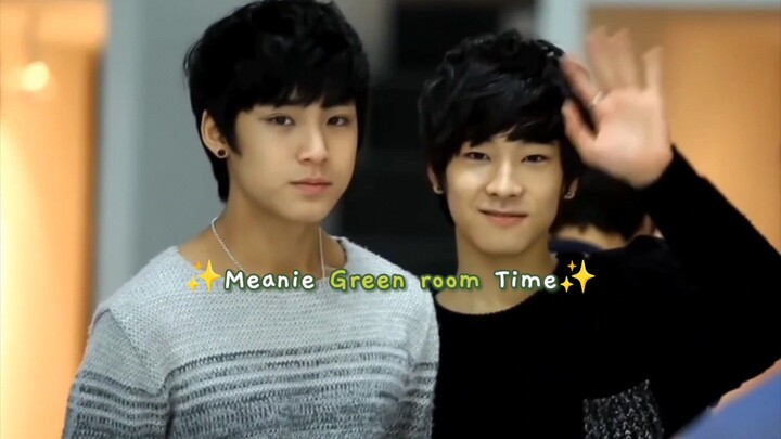 Meanie (Mingyu x Wonwoo) predebut green room time 🐶🐱