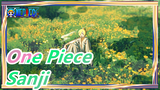 [One Piece MAD] Sanji, Don't Cry / He Who's More Considerate Is More Pitiful_B