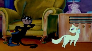 MGM Animation The Alley Cat [Raw]