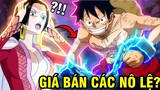 BOA ĐÁNG GIÁ BAO NHIÊU?! | HỆ THỐNG NÔ LỆ TRONG ONE PIECE