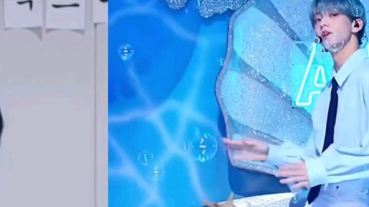 เวอร์ชั่นคู่ "โลมา" ของซูบิน ดูดีน่ารักแต่โจมตีแรงจริงๆ