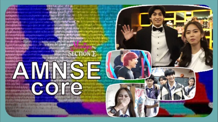 AMNSE CORE