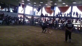 Piat Cockpit Arena 2 Hits ulotan Double Champion Simple Cutting lang👌