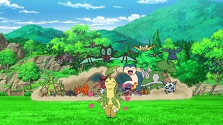 [Hành trình Pokémon] Huấn luyện viên phối hợp chạy trốn đã trở lại?! Lá nguyệt quế, người yêu Ash nh