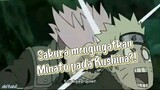 Sakura mengingatkan Minato pada Kushina?!
