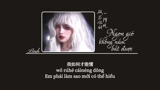 [Vietsub] Ngọn gió không nắm bắt được • 抓不住的一阵风 • Mimmi