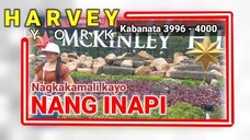 Nagkakamali kayo ng INAPI ( 3996 - 4000 )