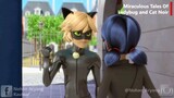 Miraculous: Tales Of Ladybug & Cat Noir (sub indo), season 1, episode 8