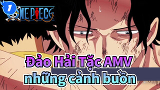 [Đảo Hải Tặc AMV] Tổng hợp những cảnh buồn trong Anime_1