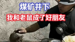 煤矿井下我和老鼠成了好朋友：一到班中餐时间，鼠兄就过来了，真的是万物皆有灵