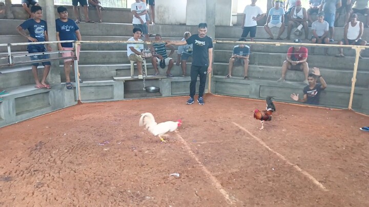 ugis 3-21-24 anislag cickpit arena