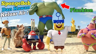 SpongeBob Keluar Air Bikini Bottom! Alur Cerita Kartun SpongeBob