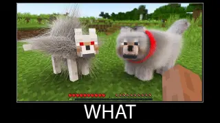 Minecraft wait what meme part 164 minecraft wolf and dog