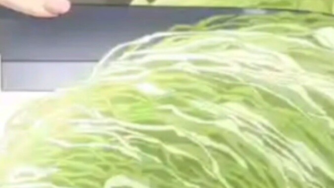 Cabbage: Okay, 90 points. Do you animators really have to draw a cabbage in such detail? It's so det
