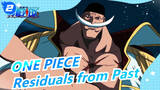 ONE PIECE| Residuals from Past_2