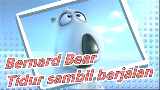 Bernard Bear -Tidur sambil berjalan dan banyak lagi