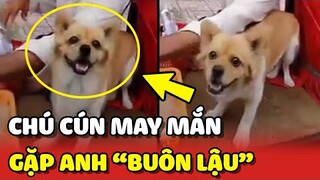 Bé cún cùng chủ BÁN VÉ SỐ may mắn gặp được anh chàng "BUÔN LẬU" lòng tốt 😍 | Yêu Lu