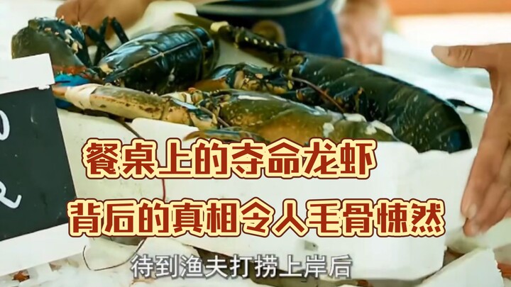 餐桌上的夺命龙虾，背后的真相令人毛骨悚然