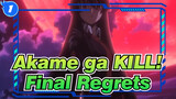 Akame ga KILL!|Final Regrets_1