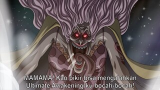 INILAH ALASAN BIG MOM YONKO DI BENTUK SANGAT BAIK OLEH ODA! - One Piece 1031+ (Teori)