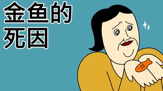 [原始JJALTOON] 金鱼的死因