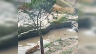 Ảo thật đấy