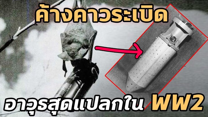 'ระเบิดค้างคาว' อาวุธสุดแปลกแห่งสงครามโลกครั้งที่ 2 - Mystery World