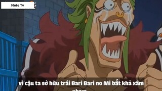 Top 7 Thánh Bựa Cực Kì Lầy Lội Trong One Piece #3- 2