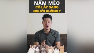 Nấm mèo có lây sang người không?? tuitienpet LearnOnTikTok dcgr