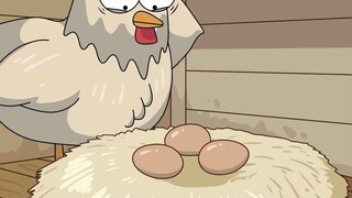 Hen laying eggs