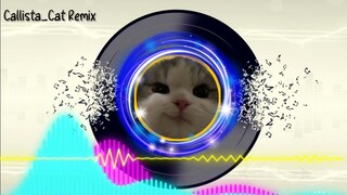 some 1 u love || remix || Callista Cat