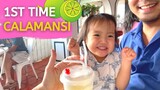Korean-Filipino Baby Tries Calamansi Juice for the First Time in Tagaytay!