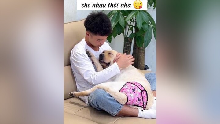 Chỉ có Chó và Người mới mang lại hạnh phúc cho nhau thôi nha 😅 chó thucung pet chó_cưng chócute