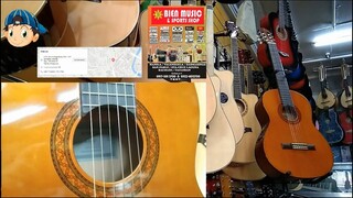 Yamaha Nylon Guitar Chocolate Brown